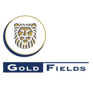 gold fields