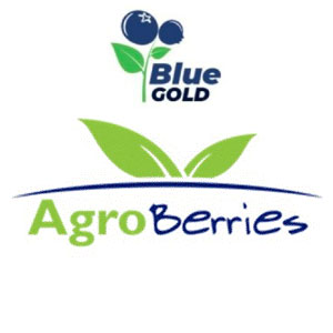 agro berries